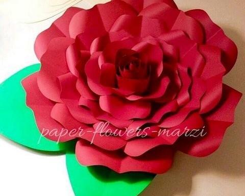 عکس گلهای کاغذی زیبا