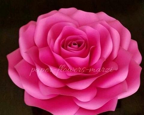 عکس گلهای کاغذی زیبا