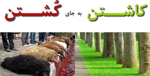 عکس گاو قربونی
