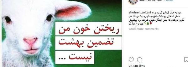 عکس گاو قربونی