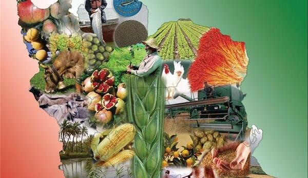 عکس غذای صنعتی