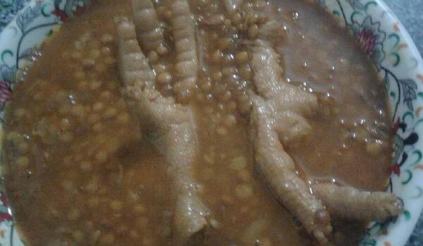 عکس غذای عدسی