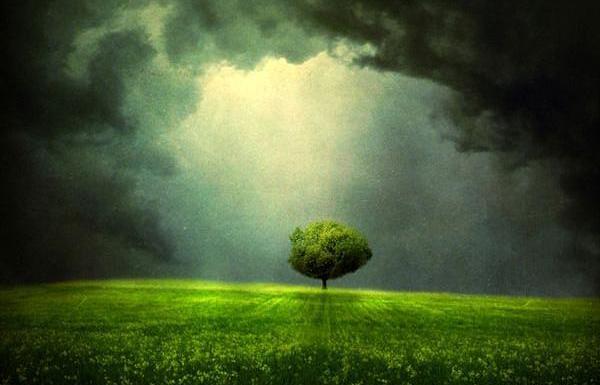 عکس پروفایل غمگین طبیعت