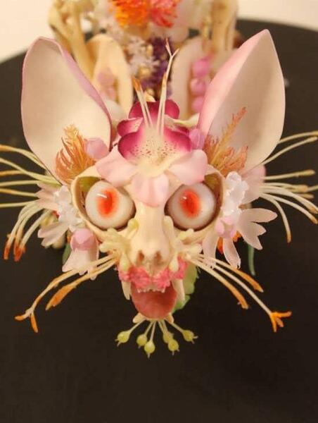 عکس های جالب گلها
