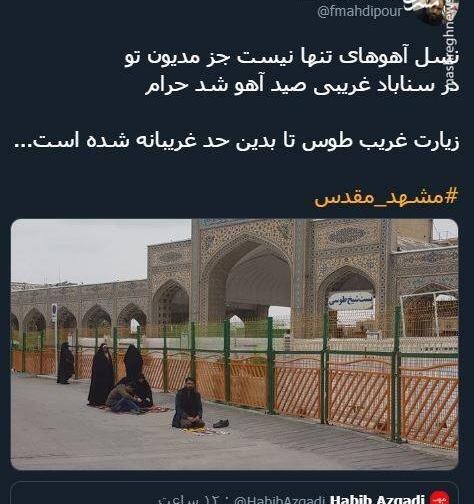عکس رضا غریب