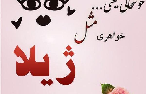 عکس کیک تولد ژیلا