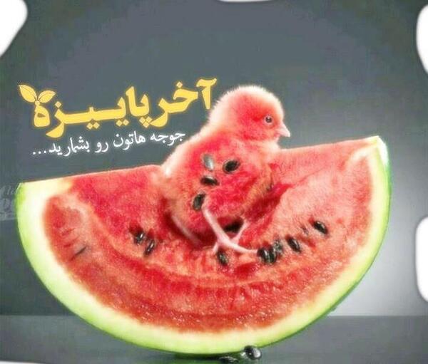 عکس یلدا همسر