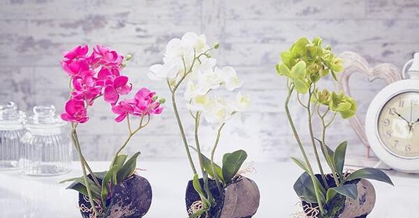 عکس گلهای زیبای مصنوعی