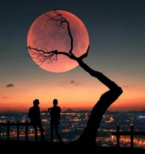 عکس قشنگ پروفایل بدون متن