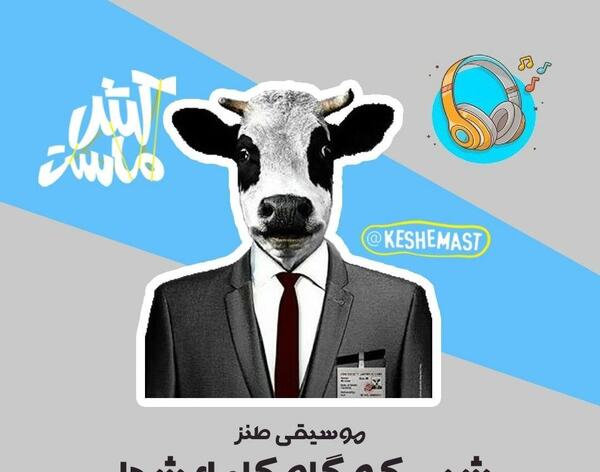 عکس طنز گاو