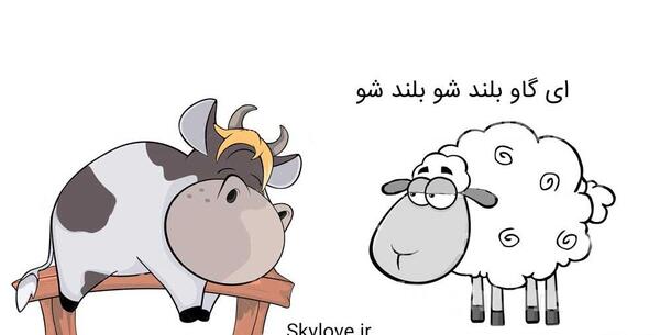 عکس طنز گاو