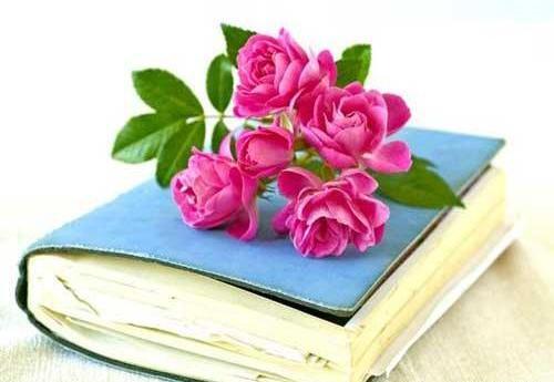 عکس کتاب باز بدون نوشته