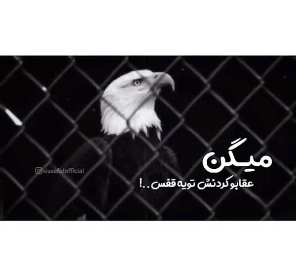 عکس عقاب نوشته