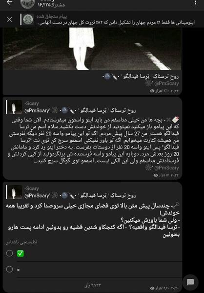 عکس قبل تصادف ترسا فیدالگو