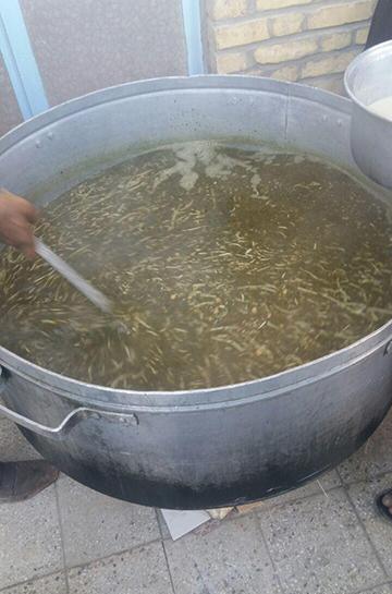 عکس اش رشته پشت پا