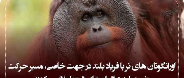 عکس های جالب روز دنیا