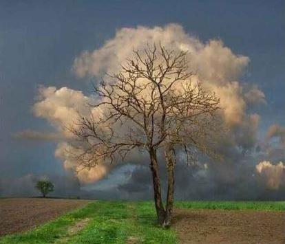 عکس های جالب روز دنیا