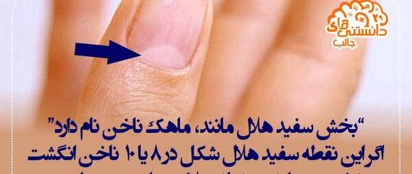 عکس های جالب روز دنیا