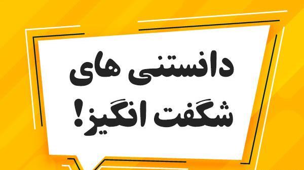 عکس های جالب روز دنیا