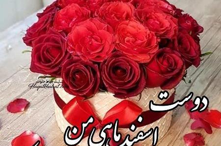 عکس رفیق اسفند ماهی تولدت مبارک