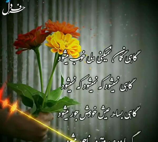 عکس نوشته های لیلا مومنی