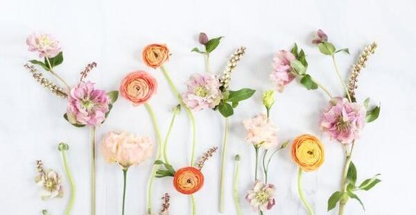 عکس نوشته زیبا گلی