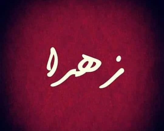 عکس لوگو زهرا