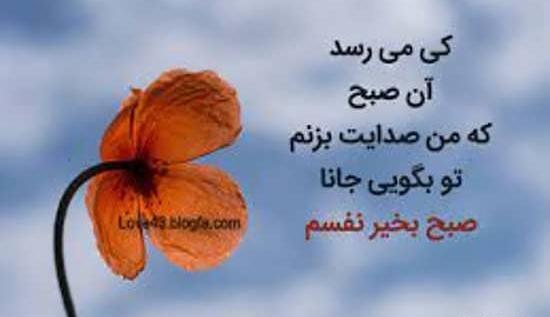 عکس تصاویر صبح بخیر نفسم