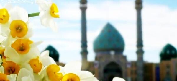 عکس گل نرگس در جمکران