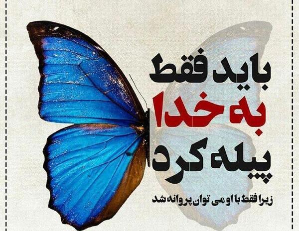 عکس نوشته راجب پروانه
