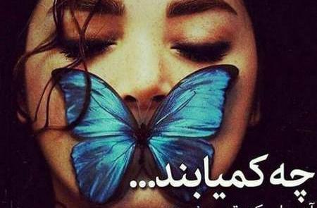 عکس نوشته راجب پروانه