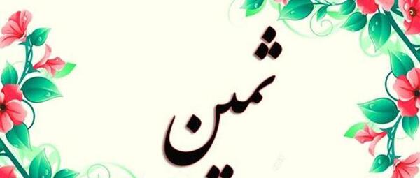 عکس ثمین حسینی