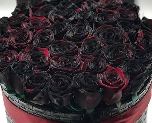 عکس دسته گل سیاه