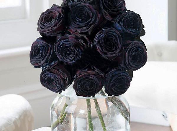 عکس دسته گل سیاه
