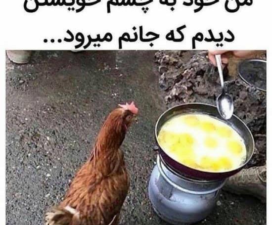 عکس غذا گذاشتن در اینستا