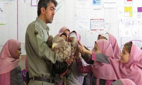 عکس عقاب دریایی