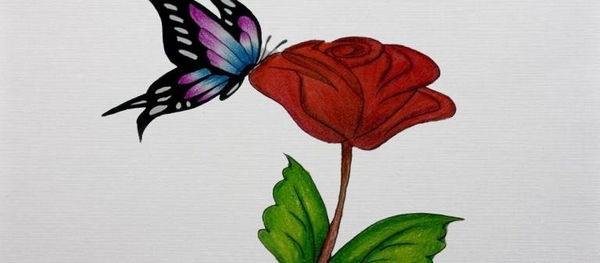 عکس پروانه روی گل