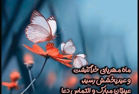عکس پروانه غمگین