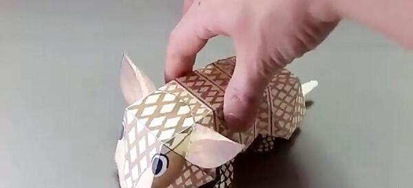 عکس ایده برای کاردستی حرکتی