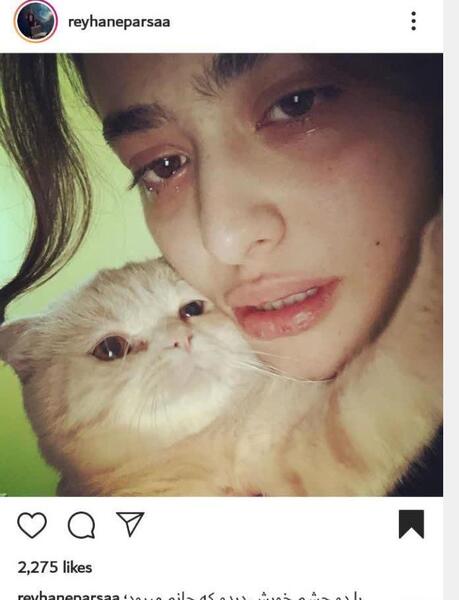 عکس دوست پسر ریحانه پارسا