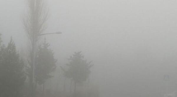 عکس پدر مبینا کعبی