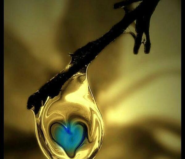 عکس هانیه حیدری