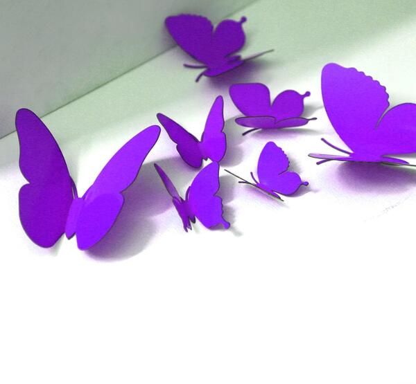 عکس پروانه ی بنفش