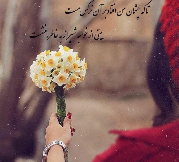 عکس نوشته شعر نرگس