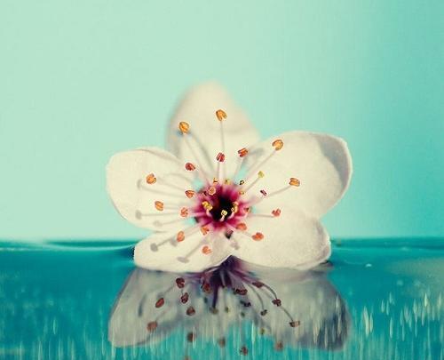 عکس رویایی طبیعت برای پروفایل