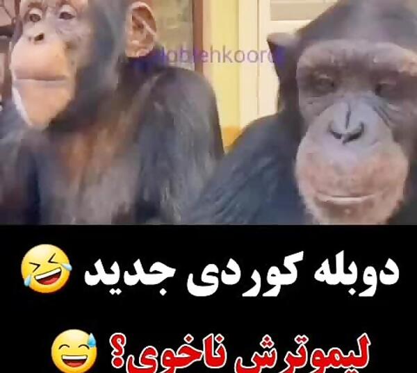عکس طنز کوردی