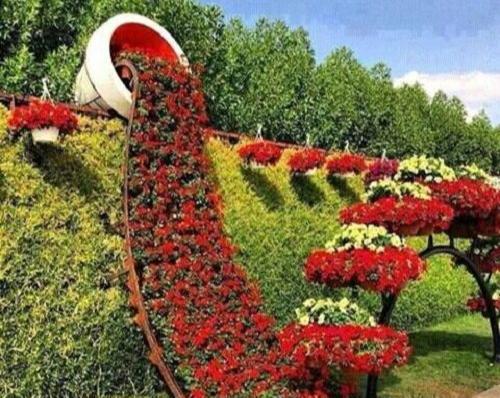 عکس منظره گل برای پروفایل