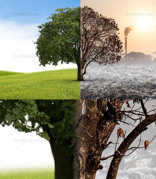 عکس طبیعت پاک