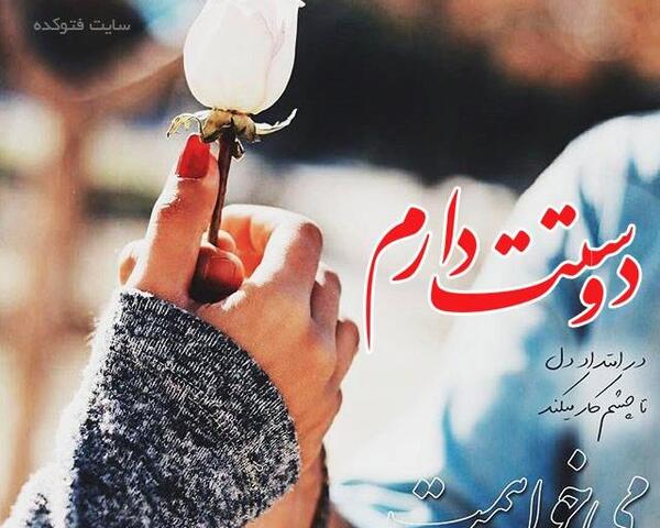 عکس عشقی ناب