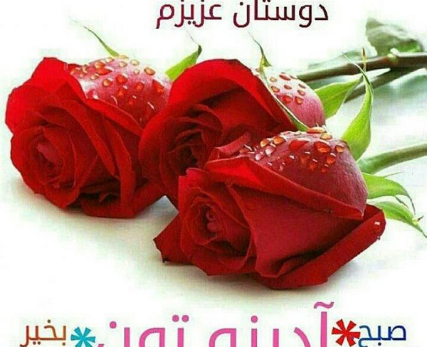 عکس صبح آدینتون بخیر